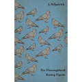 The Thoroughbred Racing Pigeon