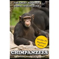 Chimpanzees: The Smartest Primates on the Planet (includes 20+ magnificent photos!)