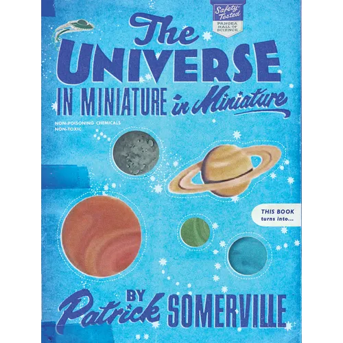 The Universe in Miniature in Miniature