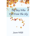 The Boy Who Fell From the Sky