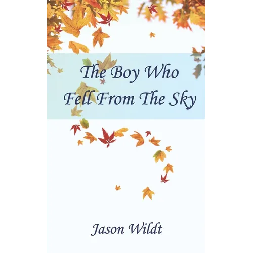 The Boy Who Fell From the Sky
