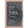 City Power: Urban Governance in a Global Age