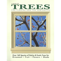A Book of Trees for Florida and the Subtropics