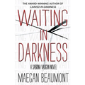 Waiting in Darkness: A Sabrina Vaughn Novel