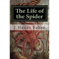 The Life of the Spider