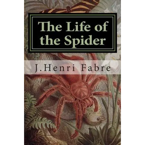 The Life of the Spider
