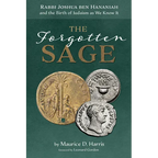 The Forgotten Sage: Rabbi Joshua Ben Hananiah and the Birth of Judaism as We Know It - Paperback