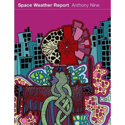 Space Weather Report