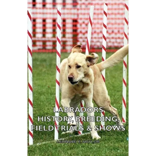 Labradors - History, Breeding, Field Trials & Shows