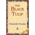 The Black Tulip