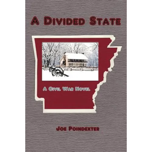 A Divided State: A Civil War Novel
