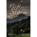 Gift from the Storm