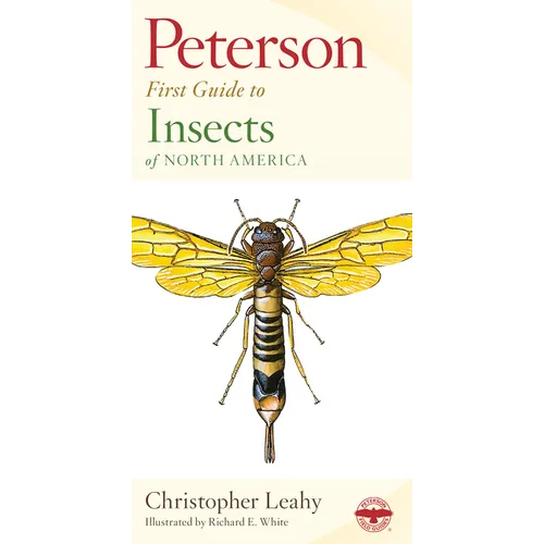 Peterson First Guide to Insects