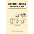 Common Edible Mushrooms