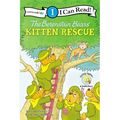 The Berenstain Bears' Kitten Rescue: Level 1