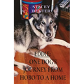 Eddie: One Dog's Journey from Hobo to a Home