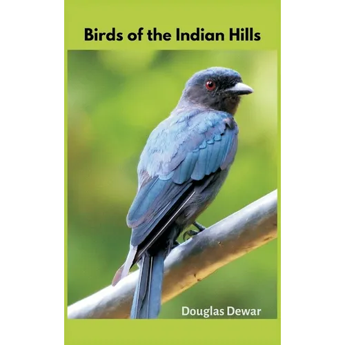 Birds of the Indian Hills