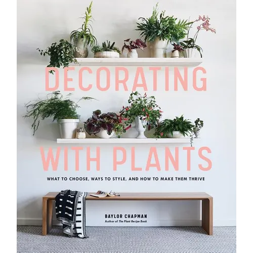Decorating with Plants: What to Choose, Ways to Style, and How to Make Them Thrive