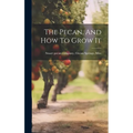 The Pecan, And How To Grow It