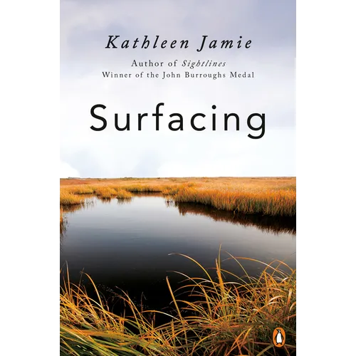 Surfacing