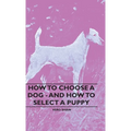 How To Choose A Dog - And How To Select A Puppy
