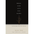 When God Lets You Down: Trusting Again After Pain and Loss