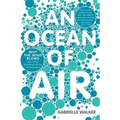 An Ocean of Air: Why the Wind Blows and Other Mysteries of the Atmosphere
