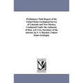 Preliminary Field Report of the United States Geological Survey of Colorado and New Mexico, Conducted Under the Authority of Hon. J.D. Cox, Secretary