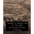 Figures Of Speech Used In the Bible Explained and Illustrated