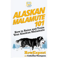 Alaskan Malamute 101: How to Raise and Train Your Alaskan Malamute