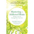 Mastering the Addicted Brain: Building a Sane and Meaningful Life to Stay Clean