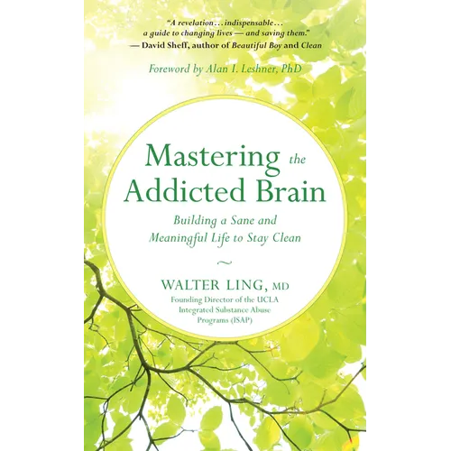 Mastering the Addicted Brain: Building a Sane and Meaningful Life to Stay Clean