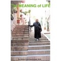 The MEANING of LIFE: (Going Into the Light)