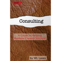 Consulting: A Guide to Helping Business Owners Succeed
