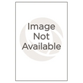 To Work and To Wed: Female Employment, Feminism, and the Great Depression