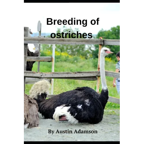 breeding of ostriches