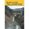 Surviving Yellowstone: The Last Great American War
