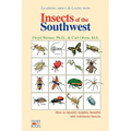 Insects of the Southwest: How to Identify Helpful, Harmful