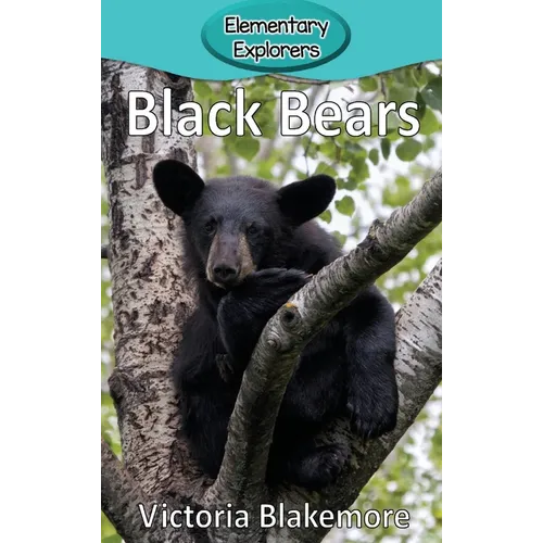 Black Bears