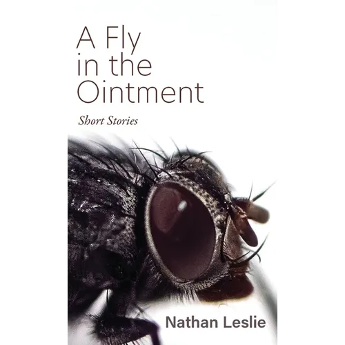 A Fly in the Ointment: Short Stories