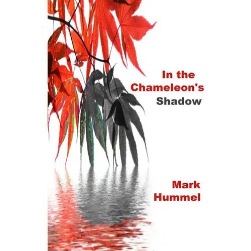 In the Chameleon's Shadow