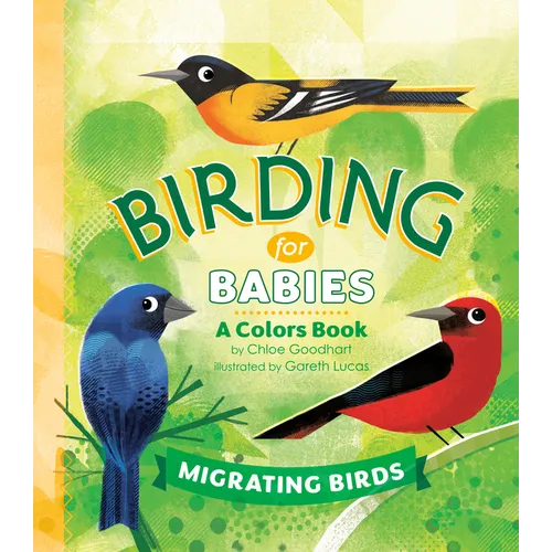 Birding for Babies: Migrating Birds: A Colors Book