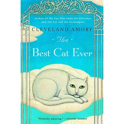 The Best Cat Ever