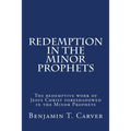 Redemption in the Minor Prophets: The redemptive work of Jesus Christ foreshadowed in the Minor Prophets