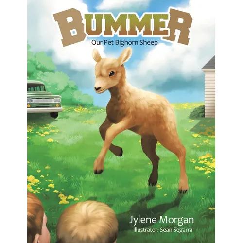 Bummer: Our Pet Bighorn Sheep