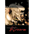 Blossom