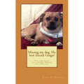 Missing my dog, My best friend: Ginger: The emotions felt after: Death of a dog