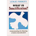 What Is Sanctification?: Understanding the Meaning of Entire Sanctification