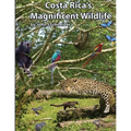 Costa Rica's Magnificent Wildlife