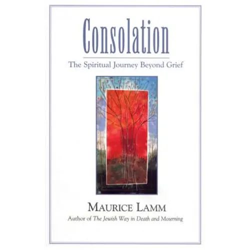 Consolation: The Spiritual Journey Beyond Grief